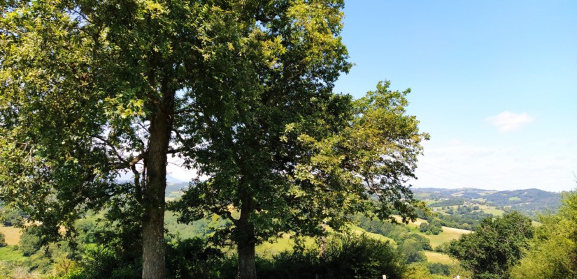 chemin de xibaltare - chemins bideak